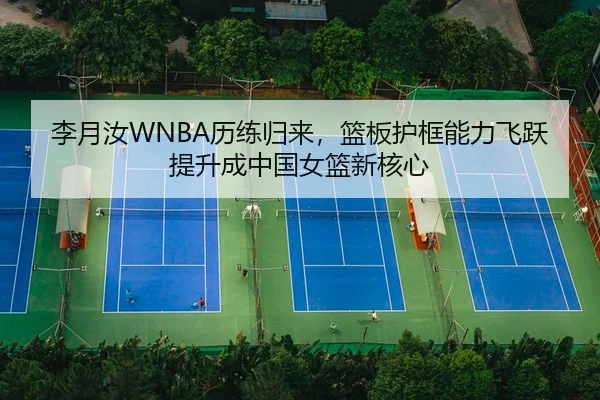 li-yue-ru-li-lian-gui-lai-lan-ban-hu-kuang-neng-li-fei-yue-ti-sheng-cheng-zhong-guo-nv-lan-xin-he-xin-2-100.jpg